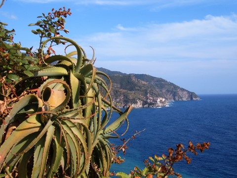 Photo corniglia